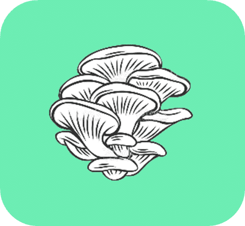 oyster mushroom coffee grounds icon