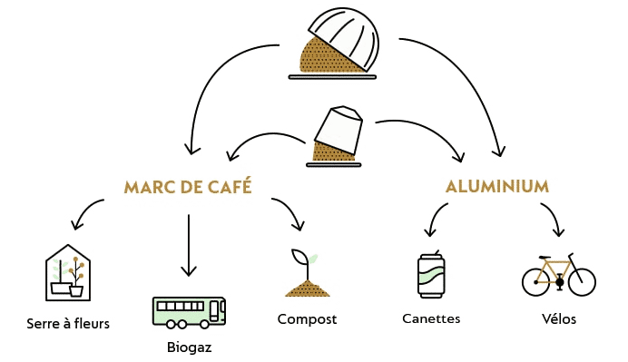 Schéma recyclage marc de café