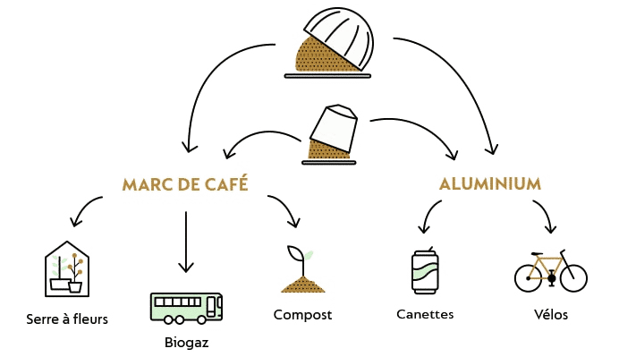 Schéma recyclage marc de café