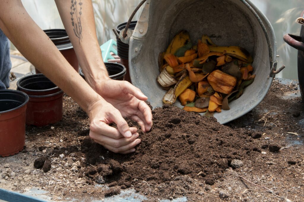 Photo mise en situation du compost